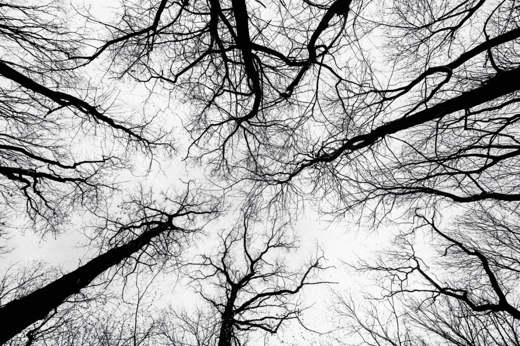 black-and-white-post-image